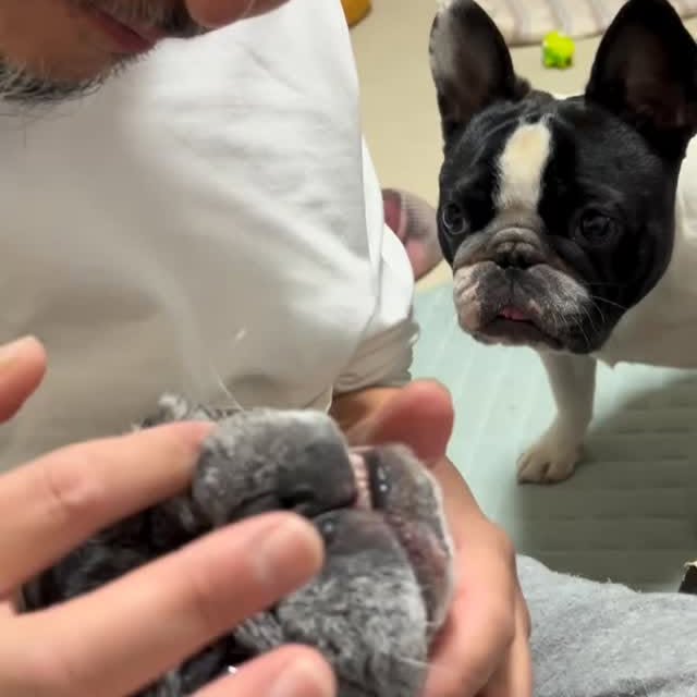  ..........ldogs_only   'recent posts' 