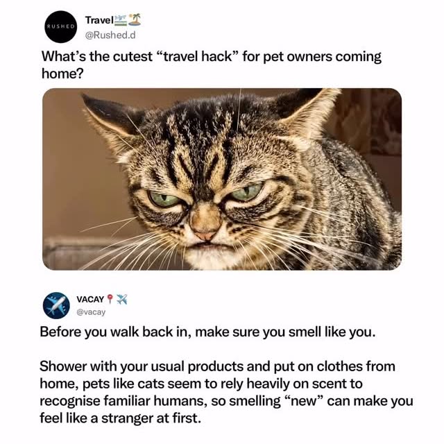  ....ed.d   'recent posts' 