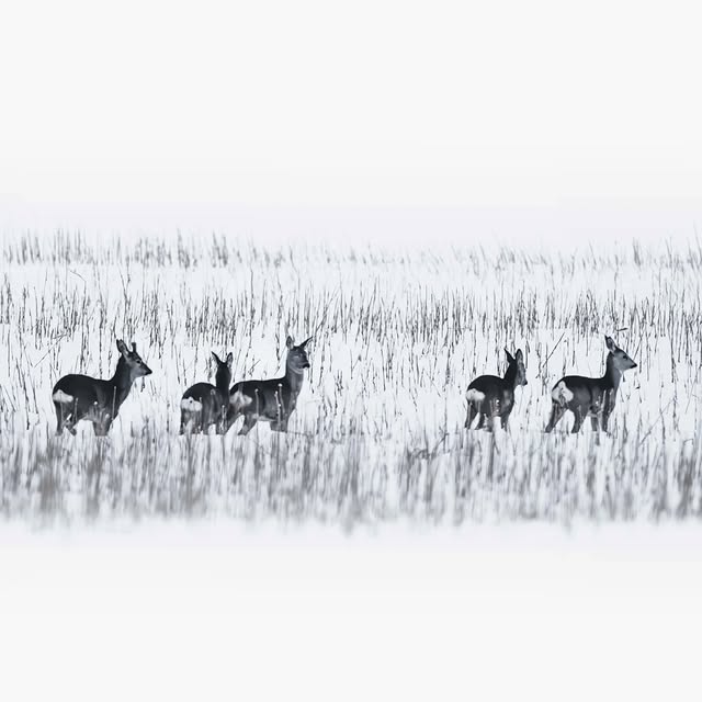  .......avelbook   'recent posts' 