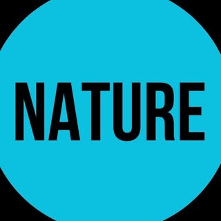 Hire ......naturee influencer with 476.1k