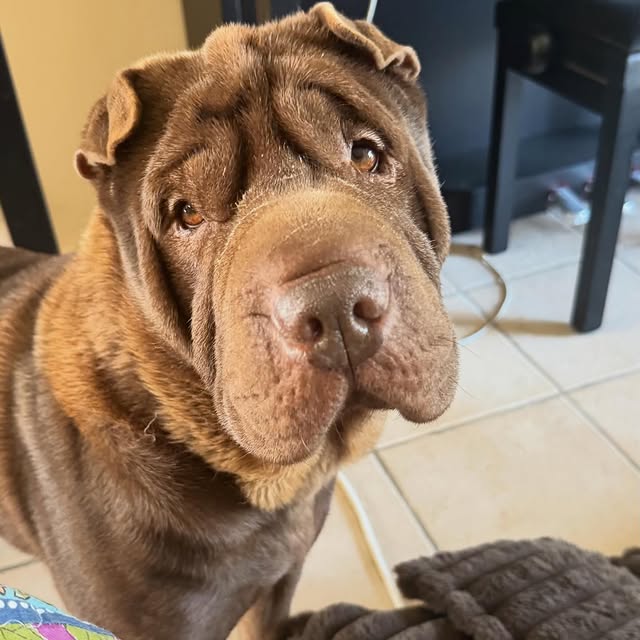  ......i.world   'recent posts' 