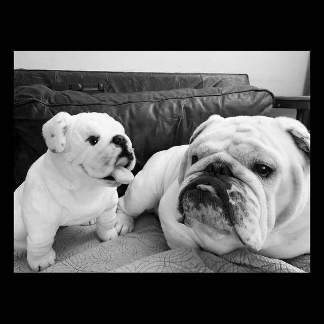  ......rwhite   'recent posts' 