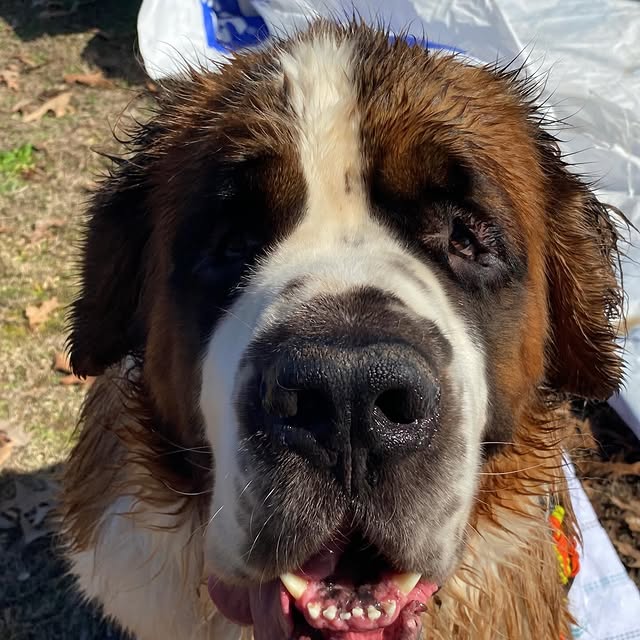  .........intbernard   'recent posts' 