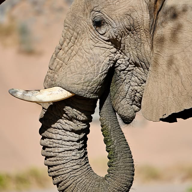  ........reisen   'recent posts' 