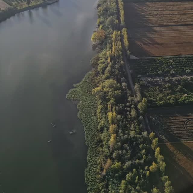  ...apli   'recent posts' 