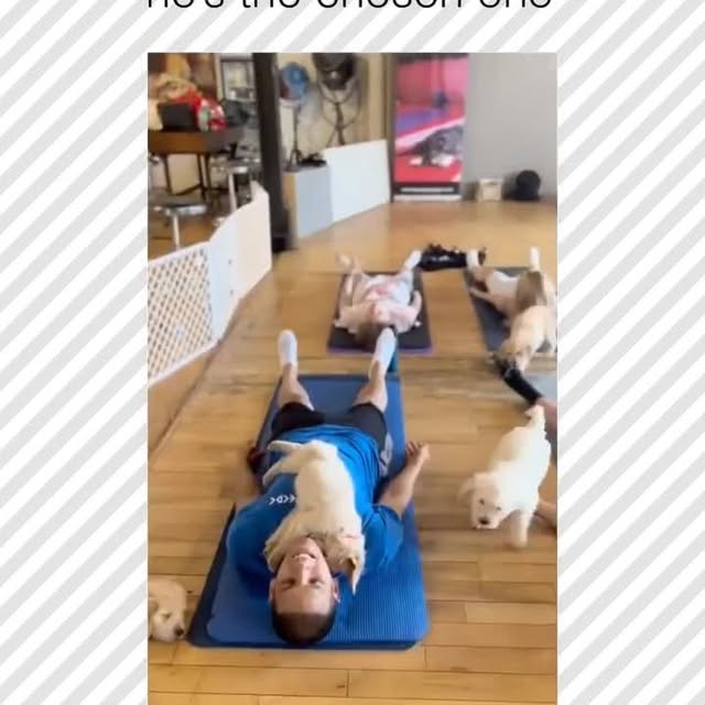  .....pawsz   'recent posts' 