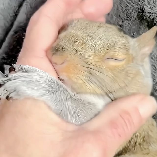  ........malsgram   'recent posts' 