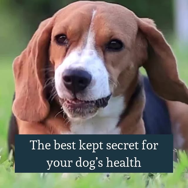  ........endlounge   'recent posts' 