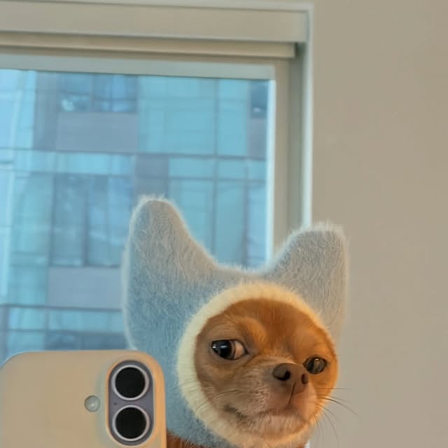  .......ndrulzz   'recent posts' 