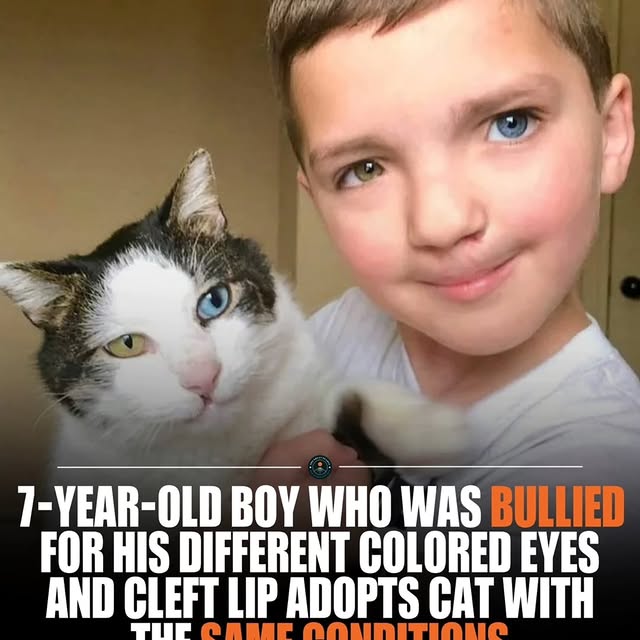  .......s.global   'recent posts' 