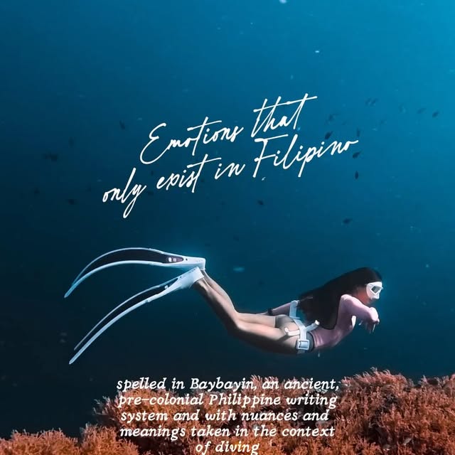  ......uecoast   'recent posts' 