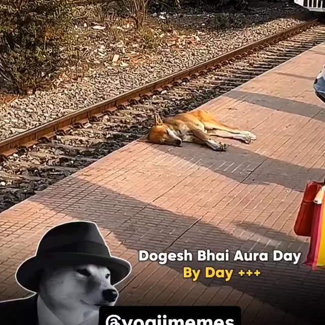  .....memes   'recent posts' 