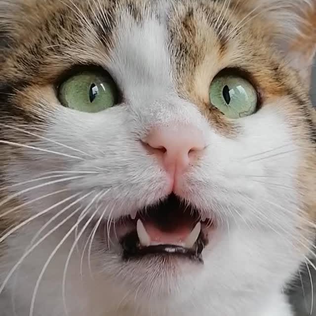  ......kekkek   'recent posts' 