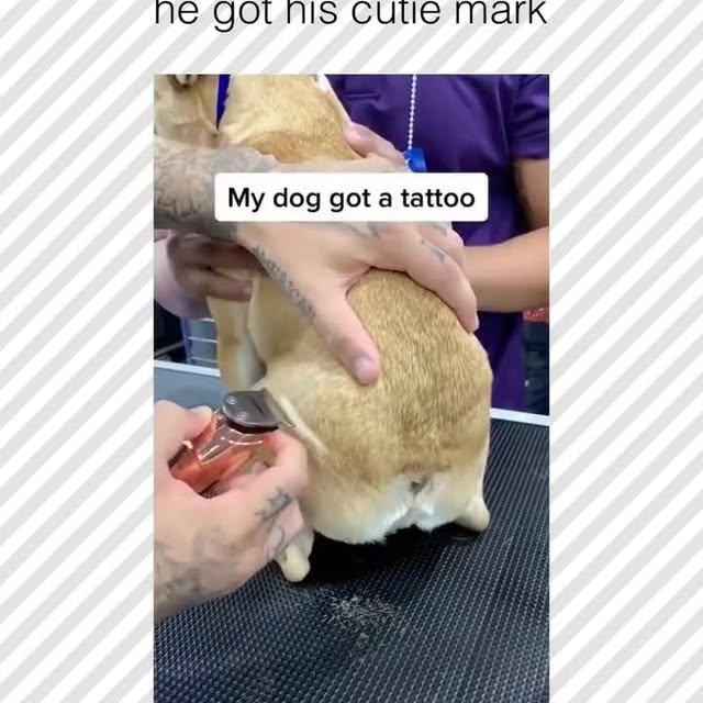  ......rposts   'recent posts' 