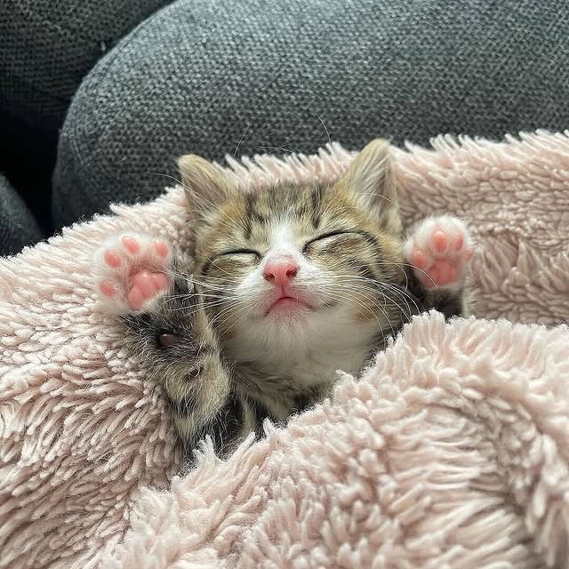  ......f_day_   'recent posts' 