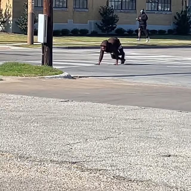  ......dosage   'recent posts' 