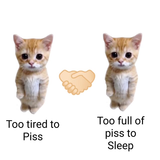  ......anacat   'recent posts' 