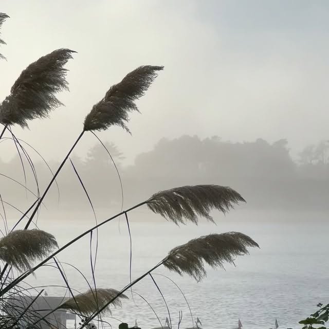  ...ky_k   'recent posts' 