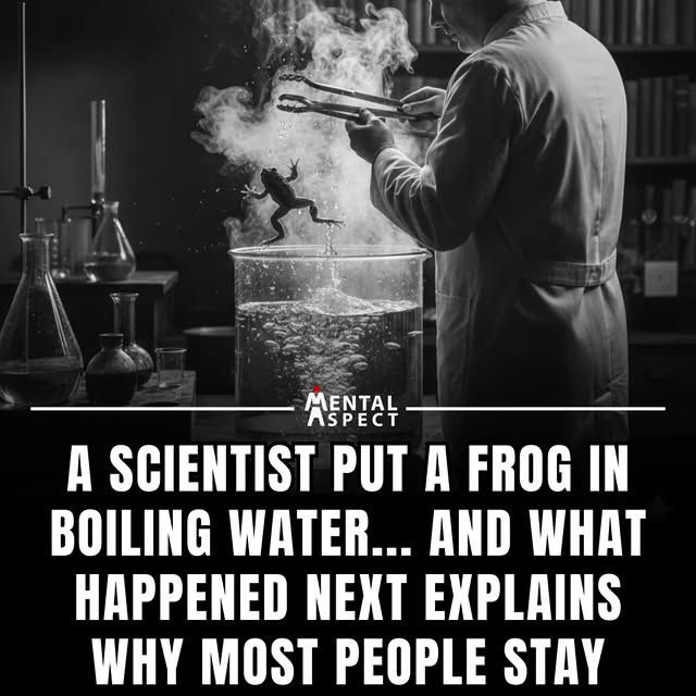  .......aspect   'recent posts' 