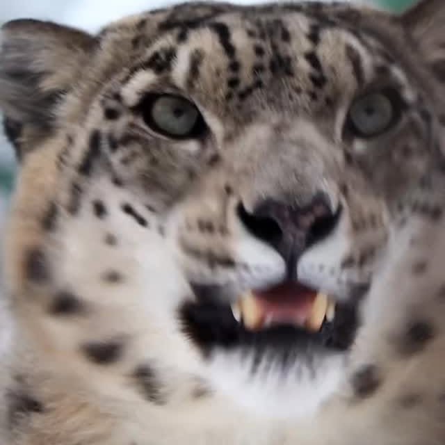  ......fehood   'recent posts' 