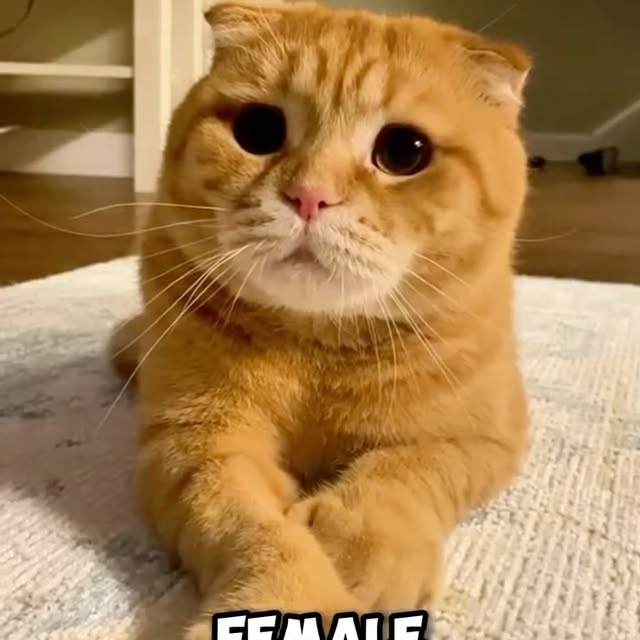  ........ykingdom   'recent posts' 