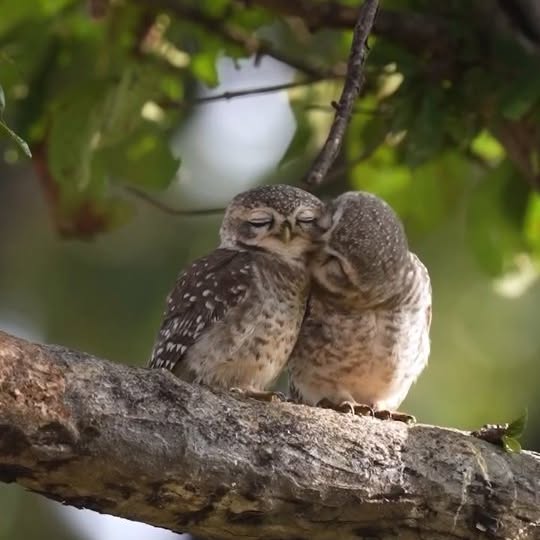  .....a.tips   'recent posts' 