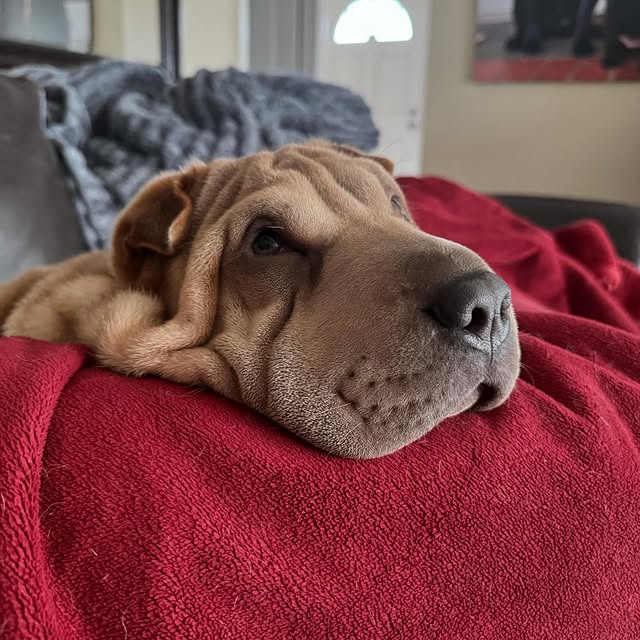  ......i.world   'recent posts' 