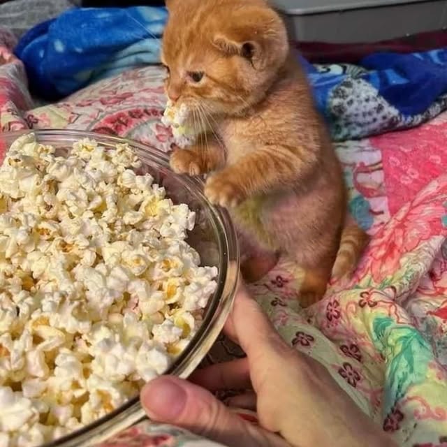  .......world.in   'recent posts' 