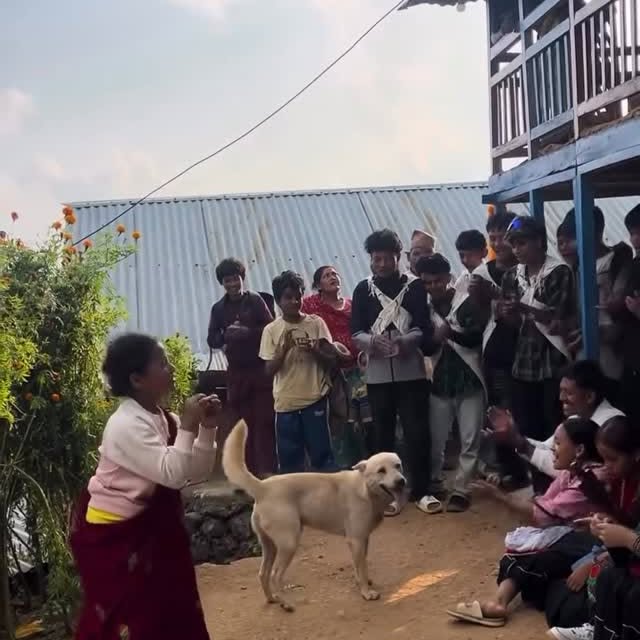  ......estige   'recent posts' 