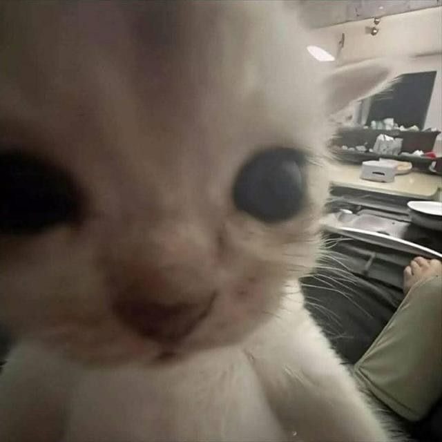  .......world.in   'recent posts' 