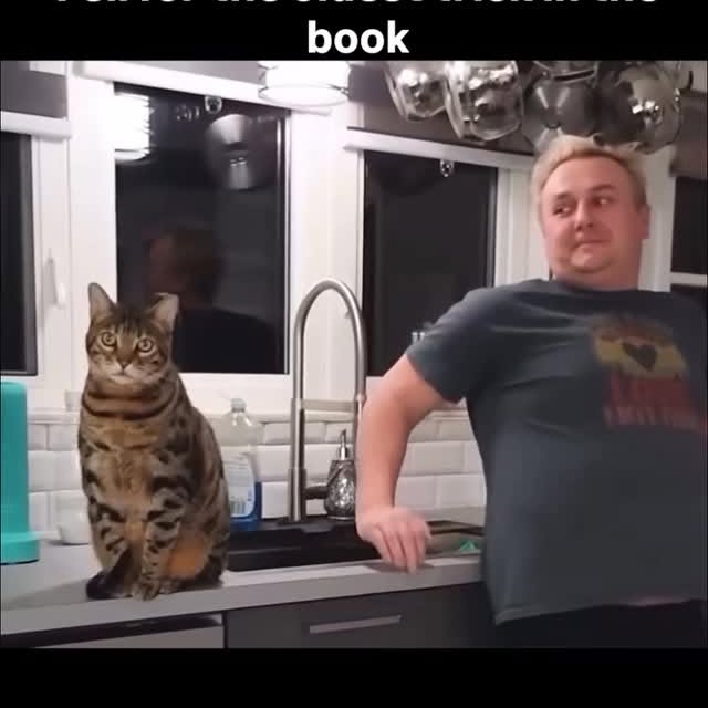  ......ctcars   'recent posts' 