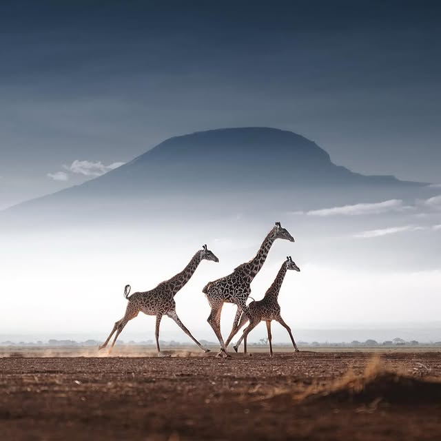  ......fehood   'recent posts' 