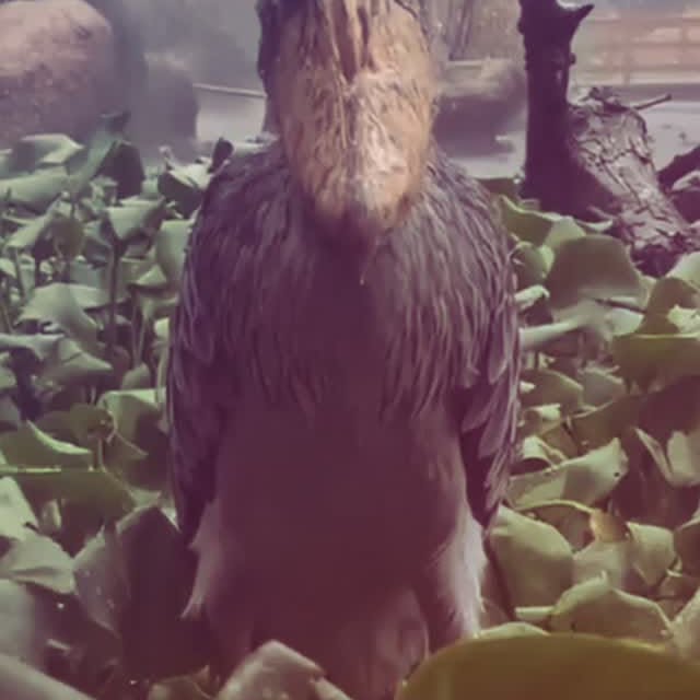  ..........rdoftheday   'recent posts' 