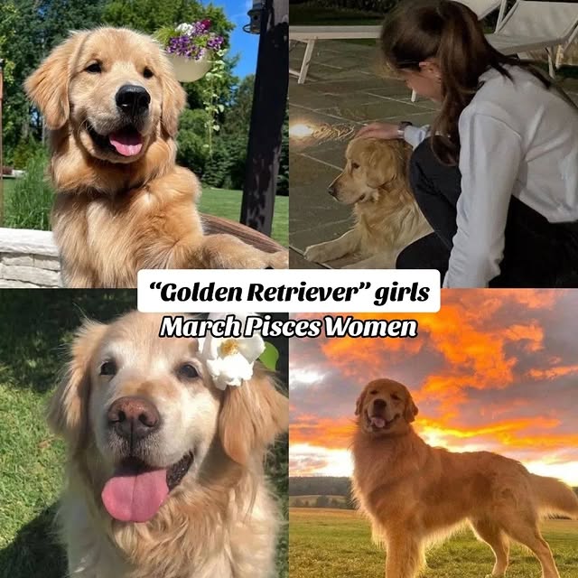  .....cbabe   'recent posts' 