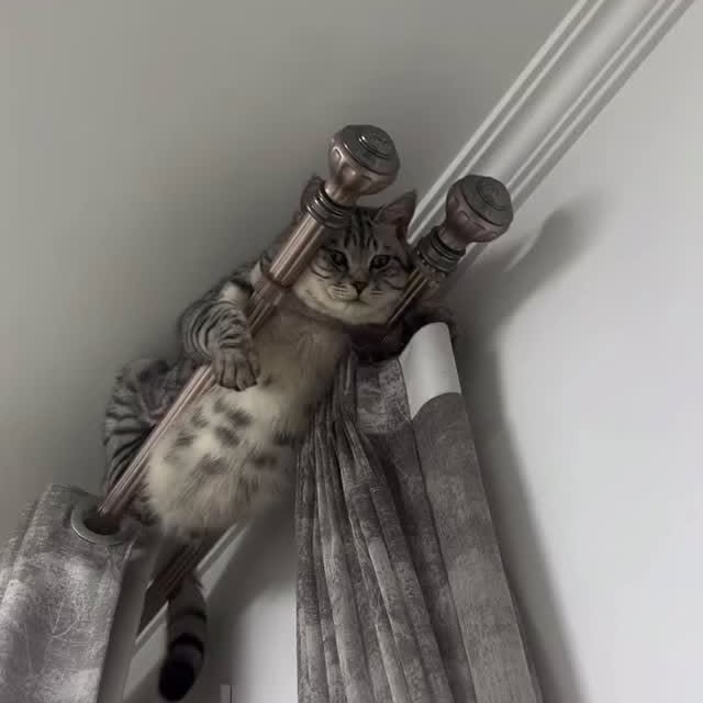  ...urre   'recent posts' 