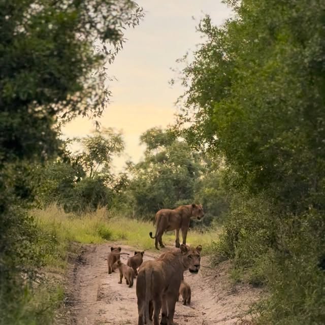  .........._sightings   'recent posts' 