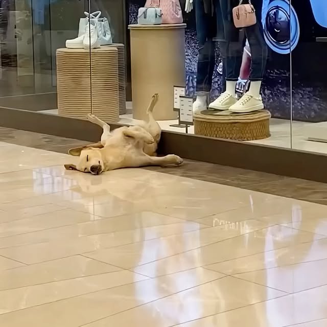  ...urre   'recent posts' 