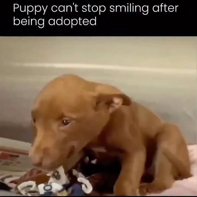  .....ibess   'recent posts' 