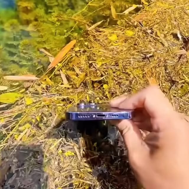  .....views   'recent posts' 