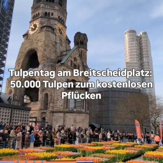  ......._berlin   'recent posts' 