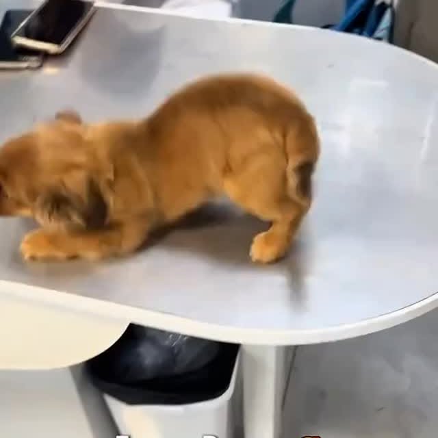  ....fday   'recent posts' 