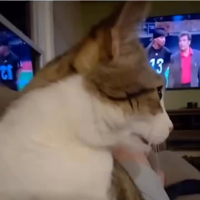  ......ctcars   'recent posts' 