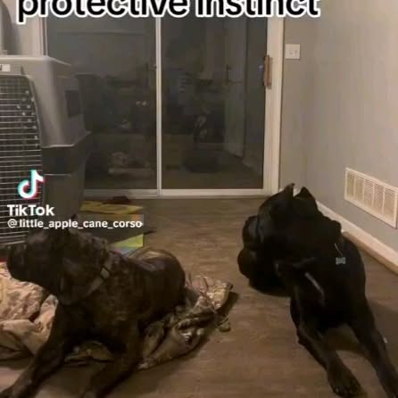  ........o.castle   'recent posts' 