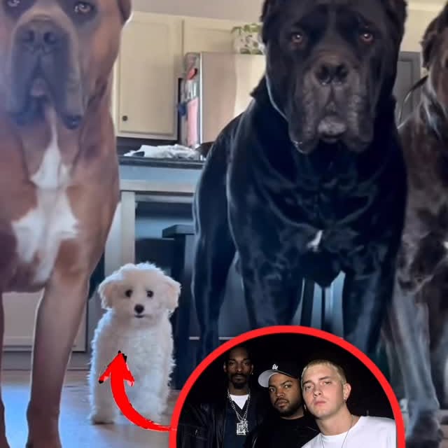  ............orning_kisser   'recent posts' 