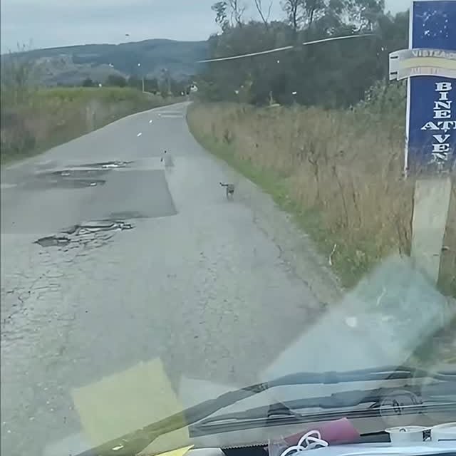  ........malsgram   'recent posts' 