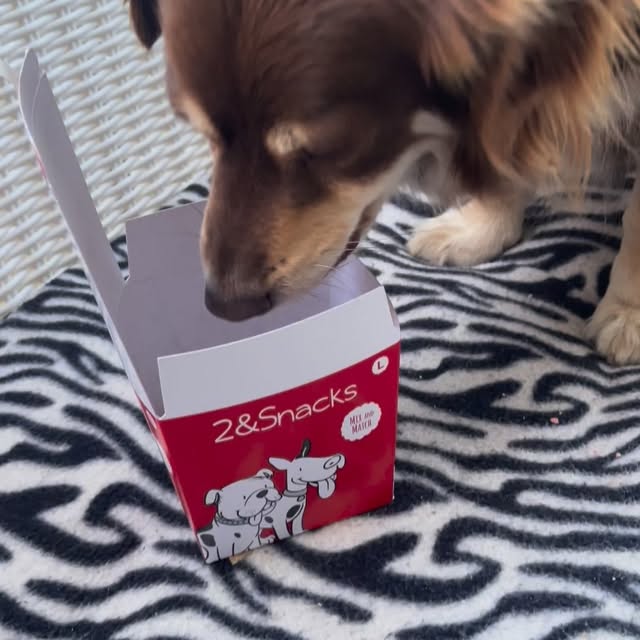  .....og2020   'recent posts' 