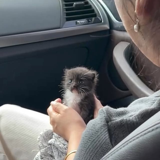  .....fweek   'recent posts' 