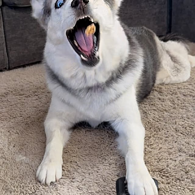  .....eteers   'recent posts' 