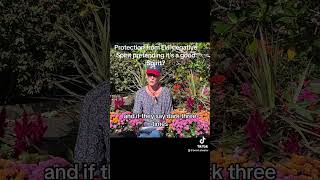  ......Atwater  'recent videos' 