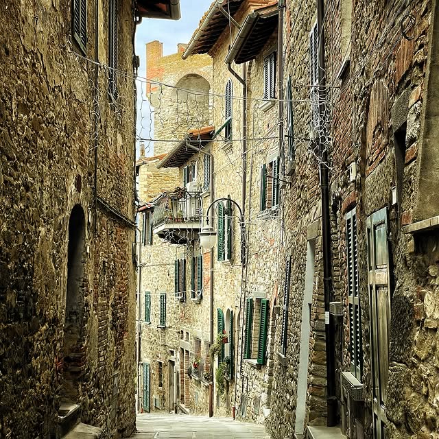  ......_viola   'recent posts' 